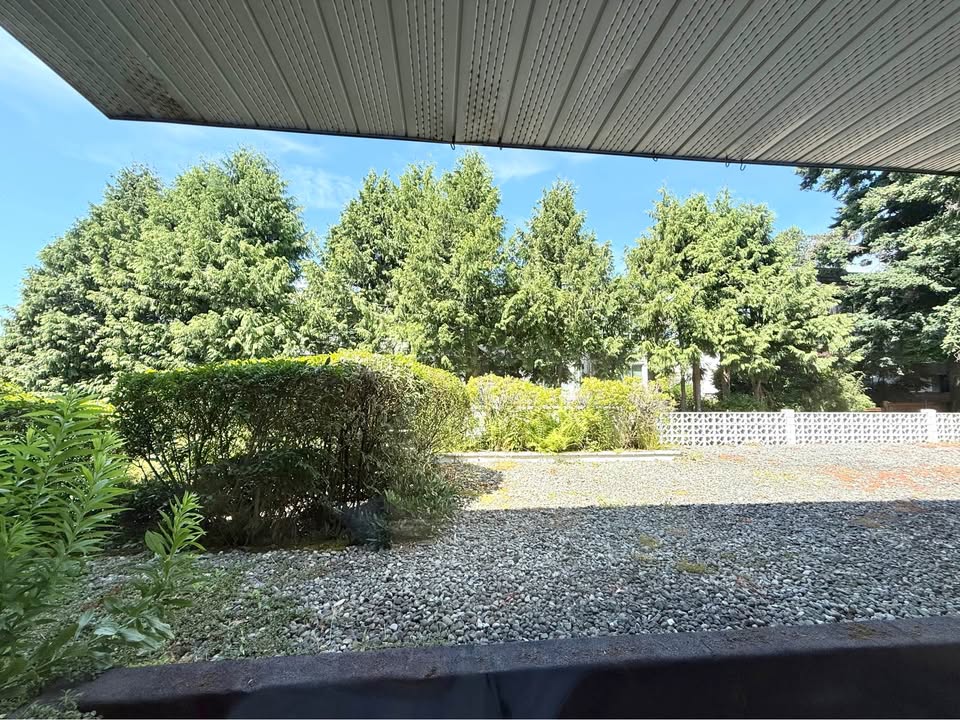 Charming 1 Bed Apartment in White Rock - CA$1650 — photo 5