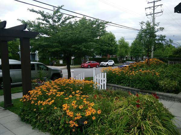 Nice suite in a townhouse in Metrotown area in Burnaby — photo 10