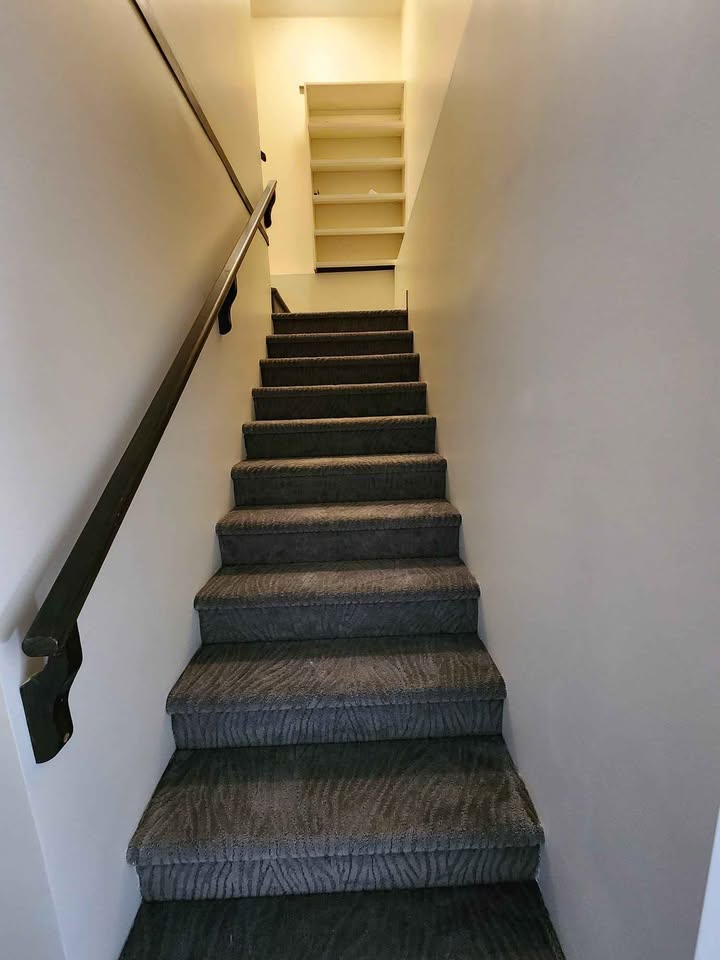 Spacious 3-Bedroom Basement Suite in Surrey — photo 9