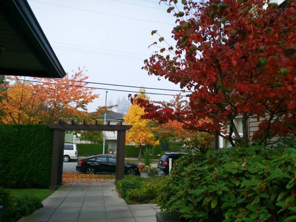 Nice suite in a townhouse in Metrotown area in Burnaby — photo 11