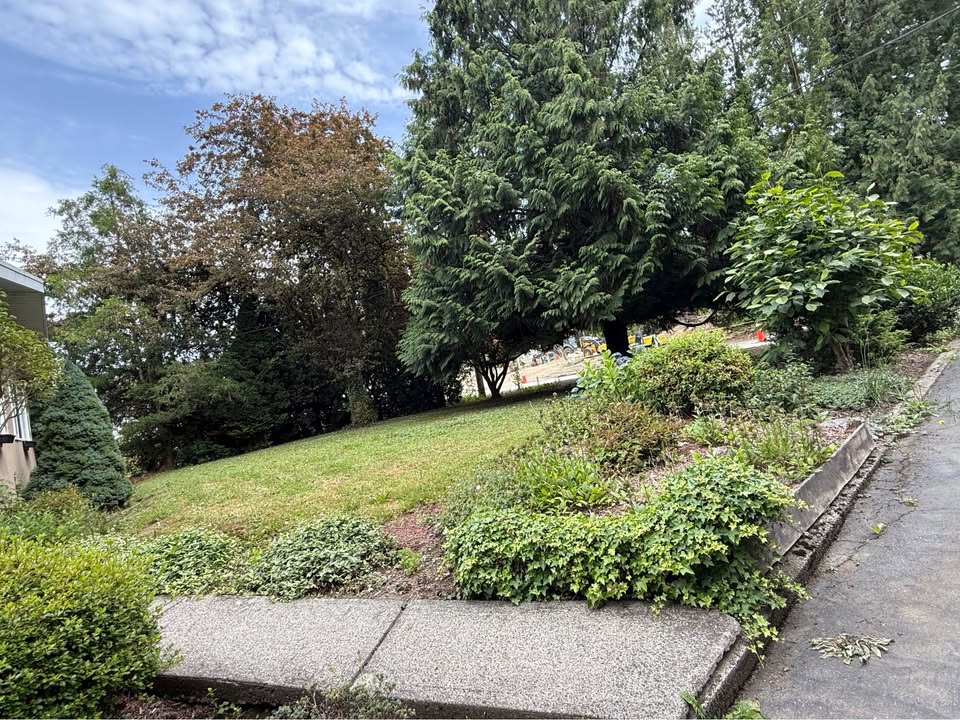 Modern 3-Bedroom House for Rent in Surrey — photo 10