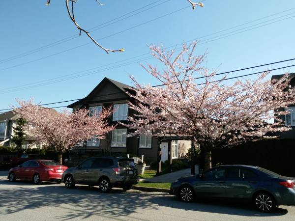 Nice suite in a townhouse in Metrotown area in Burnaby — photo 7