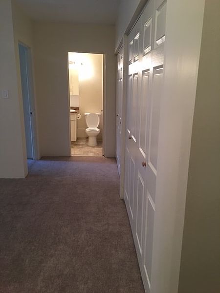 Burnaby Apartment for rent - 1 Bedroom — photo 6