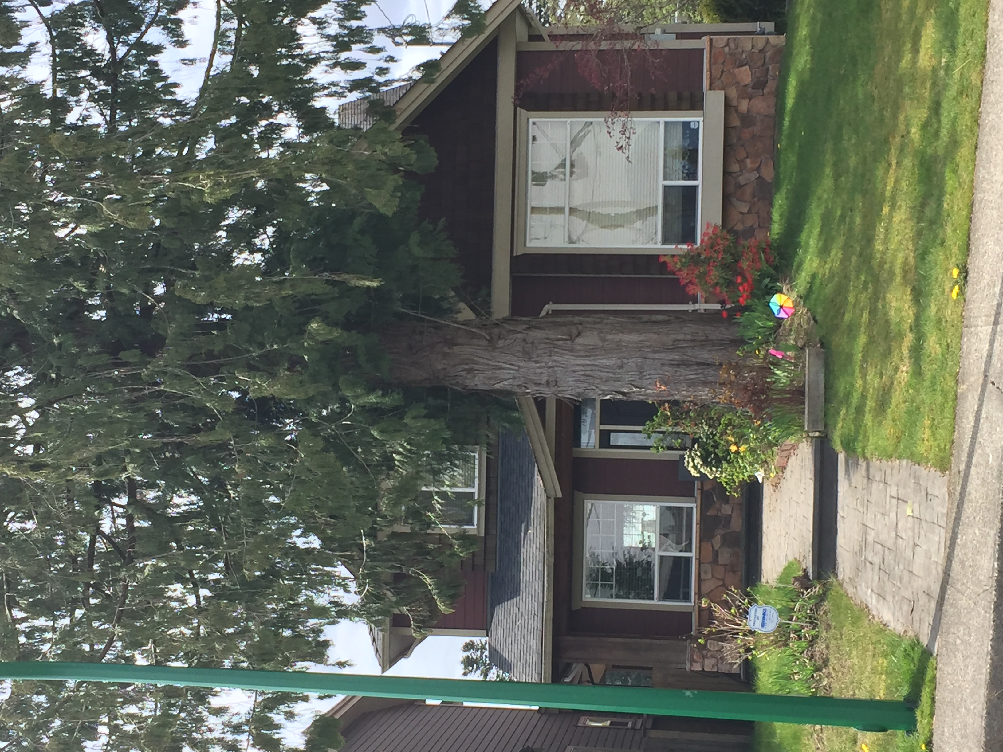 Private ground level 1 bedroom 1 bath in Burnaby — photo 9