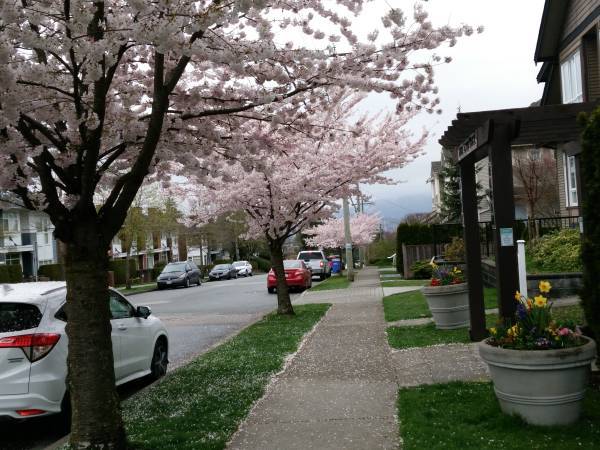 Nice suite in a townhouse in Metrotown area in Burnaby — photo 8