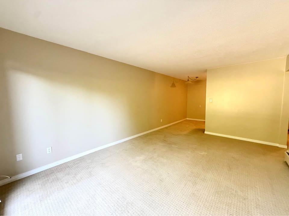 Charming 1 Bed Apartment in White Rock - CA$1650 — photo 6