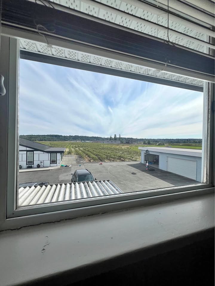 Charming 3 Bed House on Blueberry Farm in Surrey
