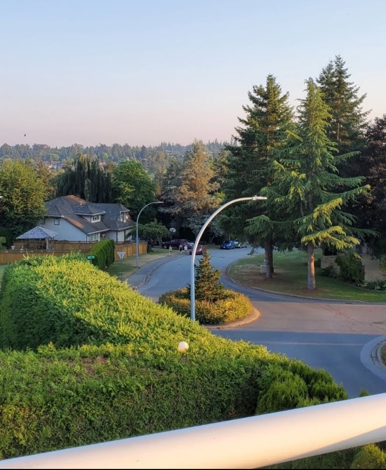 Charming 2-Bedroom Basement Suite in Fleetwood in Surrey — photo 14