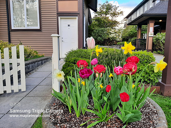 Nice suite in a townhouse in Metrotown area in Burnaby — photo 12