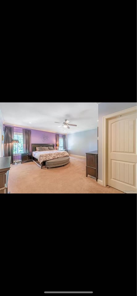 Cozy 1 Bed 1 Bath Room for Rent in Surrey — photo 3