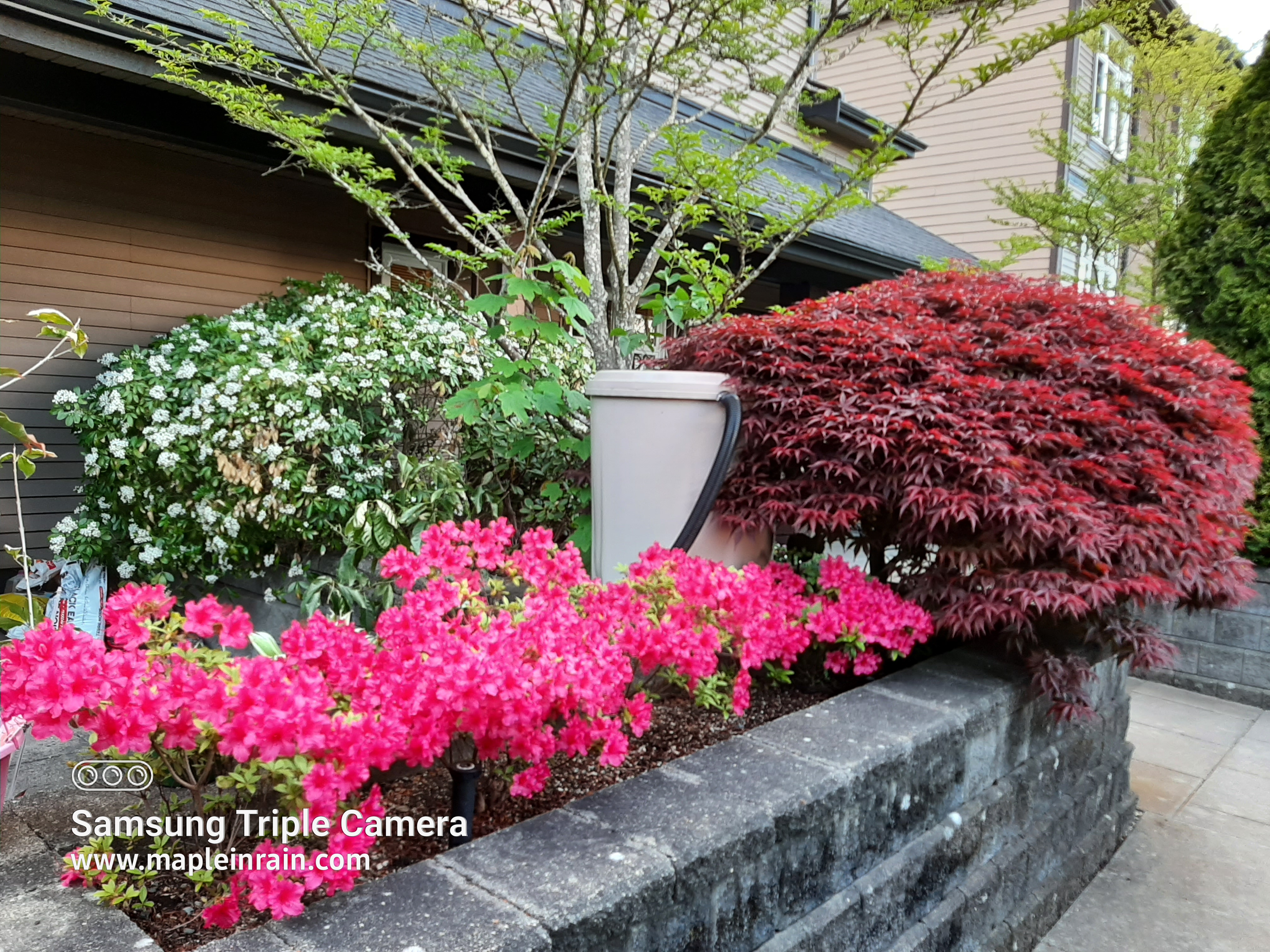 Nice suite in a townhouse in Metrotown area in Burnaby — photo 14