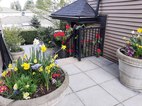 Nice suite in a townhouse in Metrotown area in Burnaby — photo 13